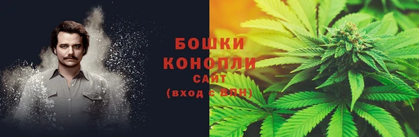 PSILOCYBIN Горняк