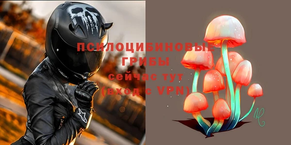 PSILOCYBIN Горняк