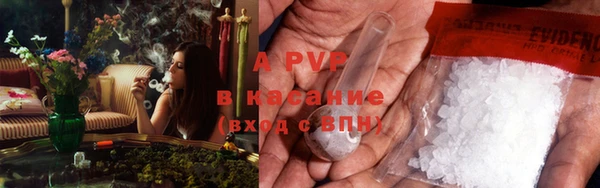 PSILOCYBIN Горняк