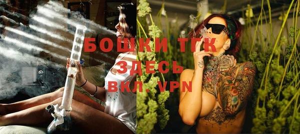 PSILOCYBIN Горно-Алтайск