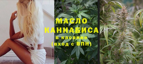 PSILOCYBIN Горно-Алтайск